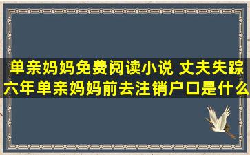 单亲妈妈免费阅读小说 丈夫失踪六年单亲妈妈前去注销户口是什么小说